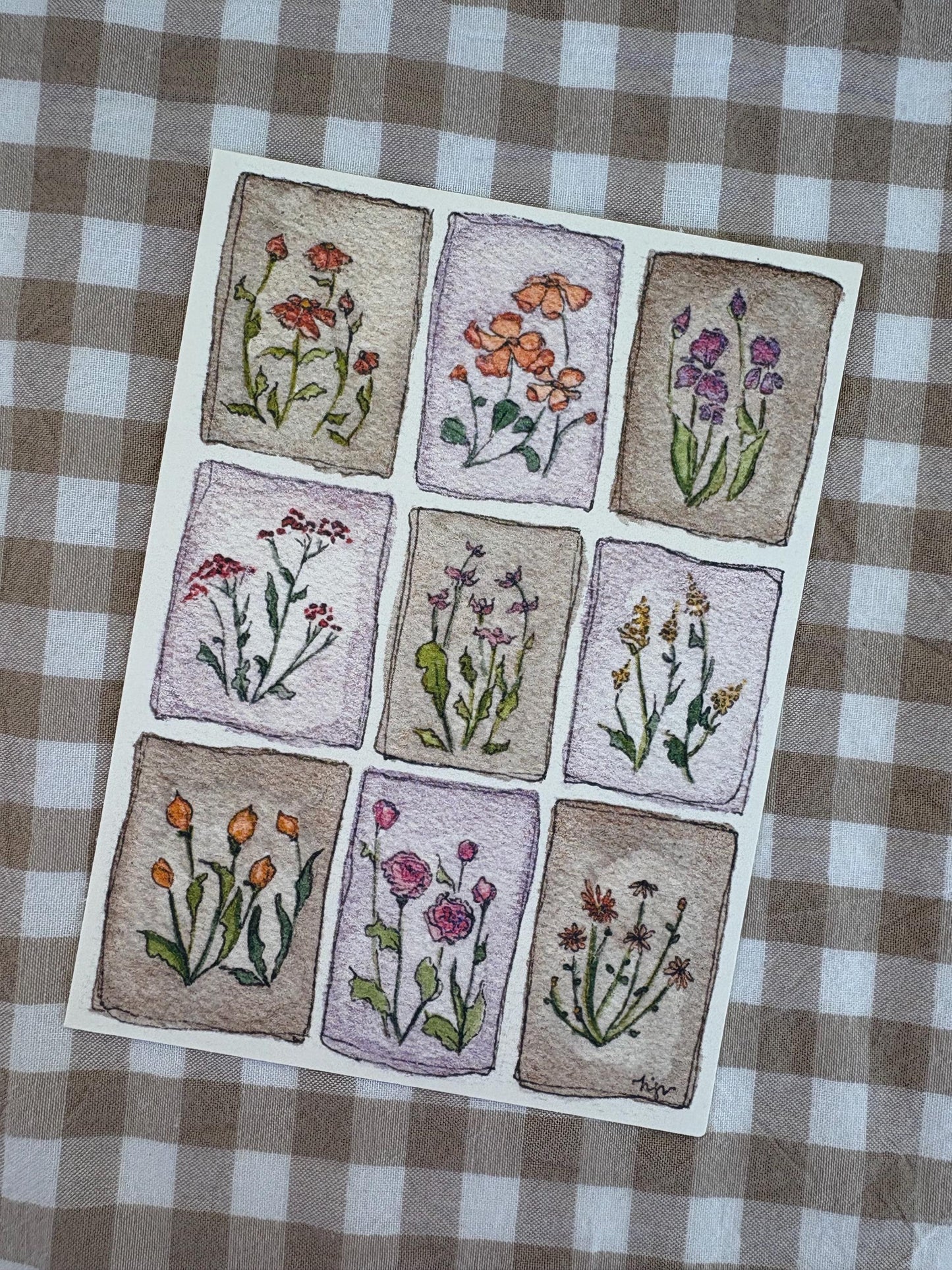 Flowers & Veggies Postcards - set of 5